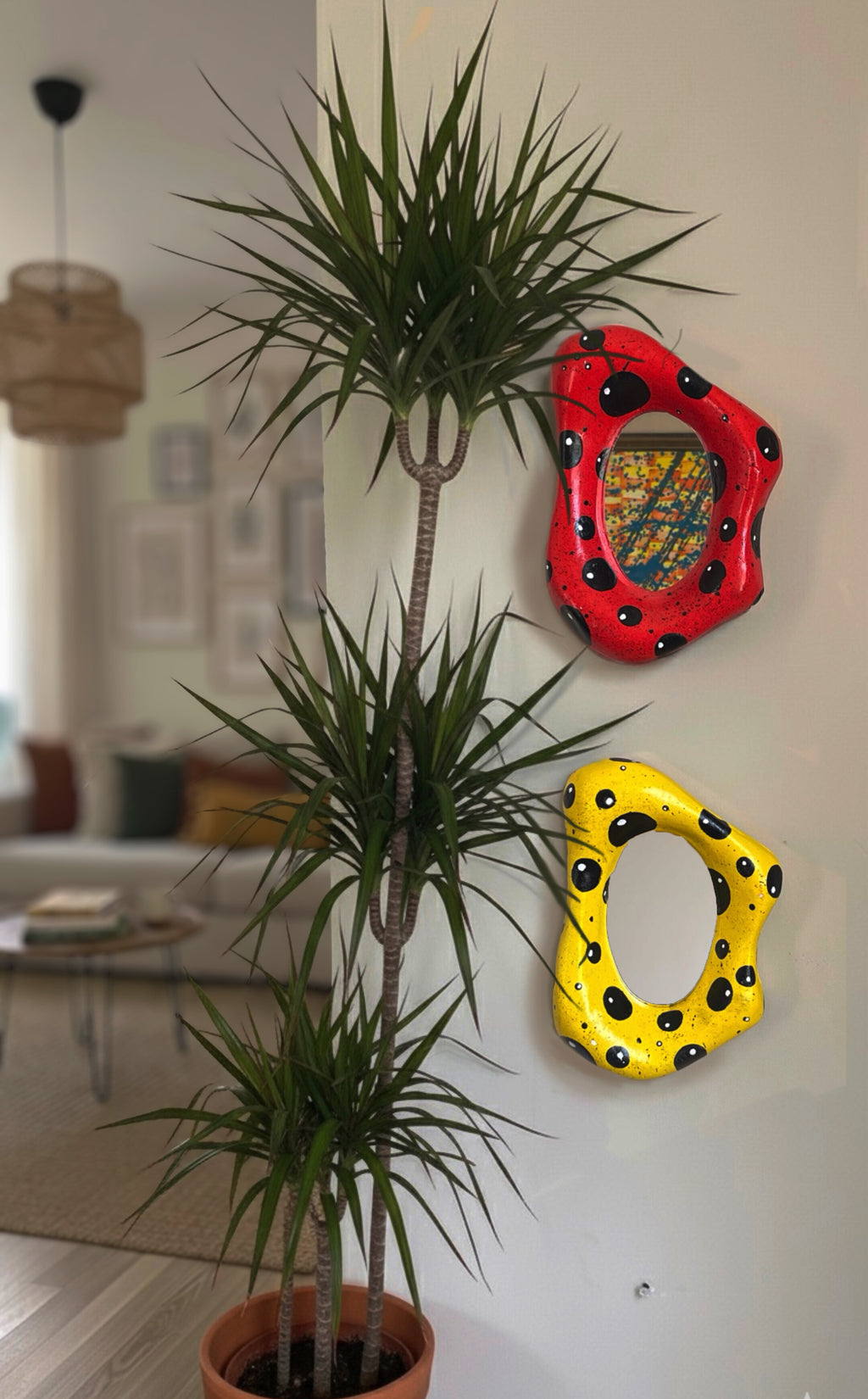Coccinella